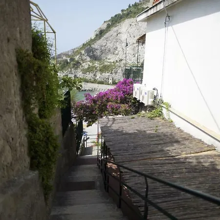 アパート La Pavoncella *
